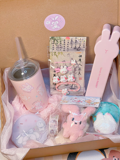 Bunny-Themed Gift Box🎁