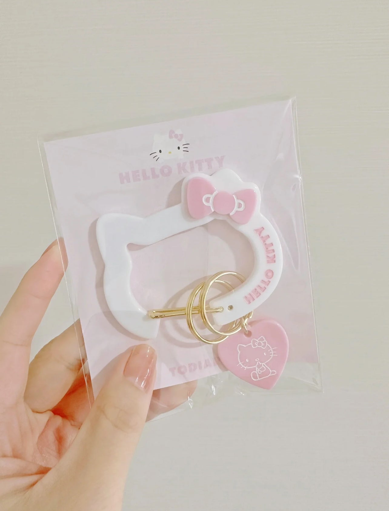 Carabiner Backpack Charm