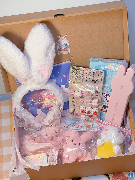 Bunny-Themed Gift Box🎁