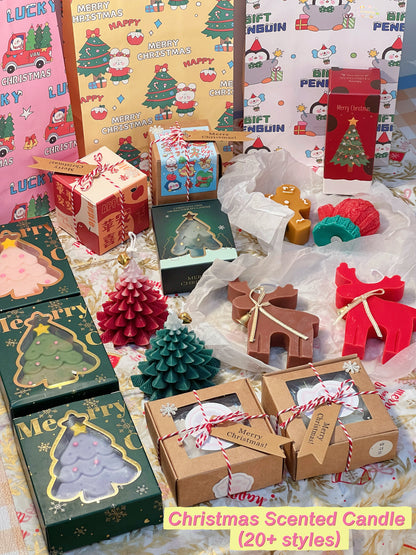 PipiGift Special Holiday Edition 🌟 Christmas Surprise Gift Bag 🎄 Curated Festive Gift Set