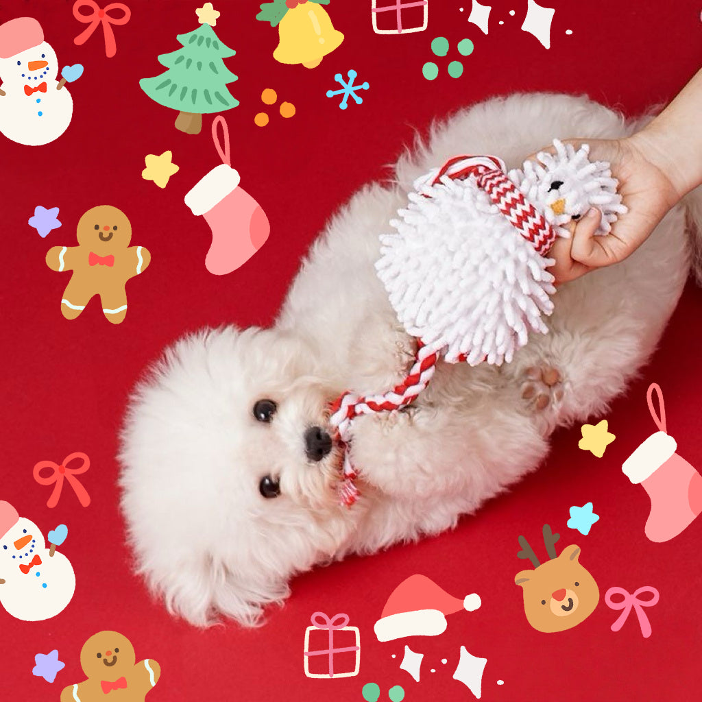 Fluffy Snowman Rope Pet Toy ⛄️ — For Cats & Puppies