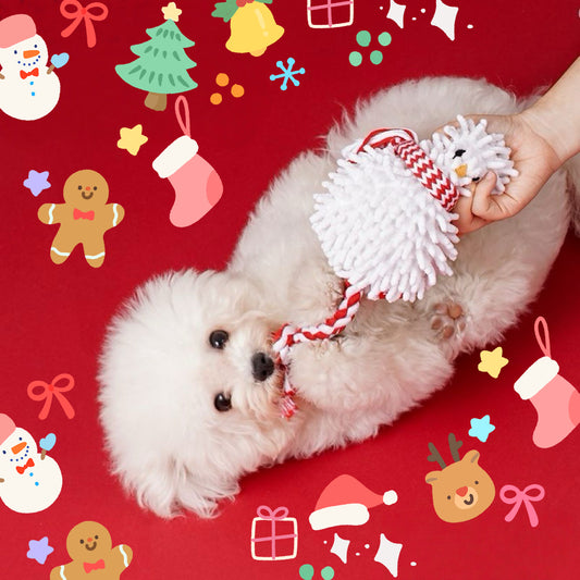 Fluffy Snowman Rope Pet Toy ⛄️ — For Cats & Puppies
