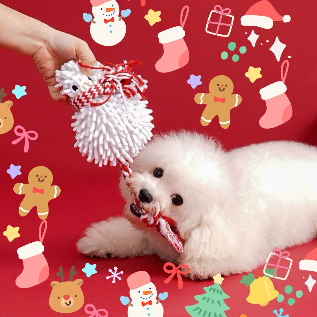 Fluffy Snowman Rope Pet Toy ⛄️ — For Cats & Puppies