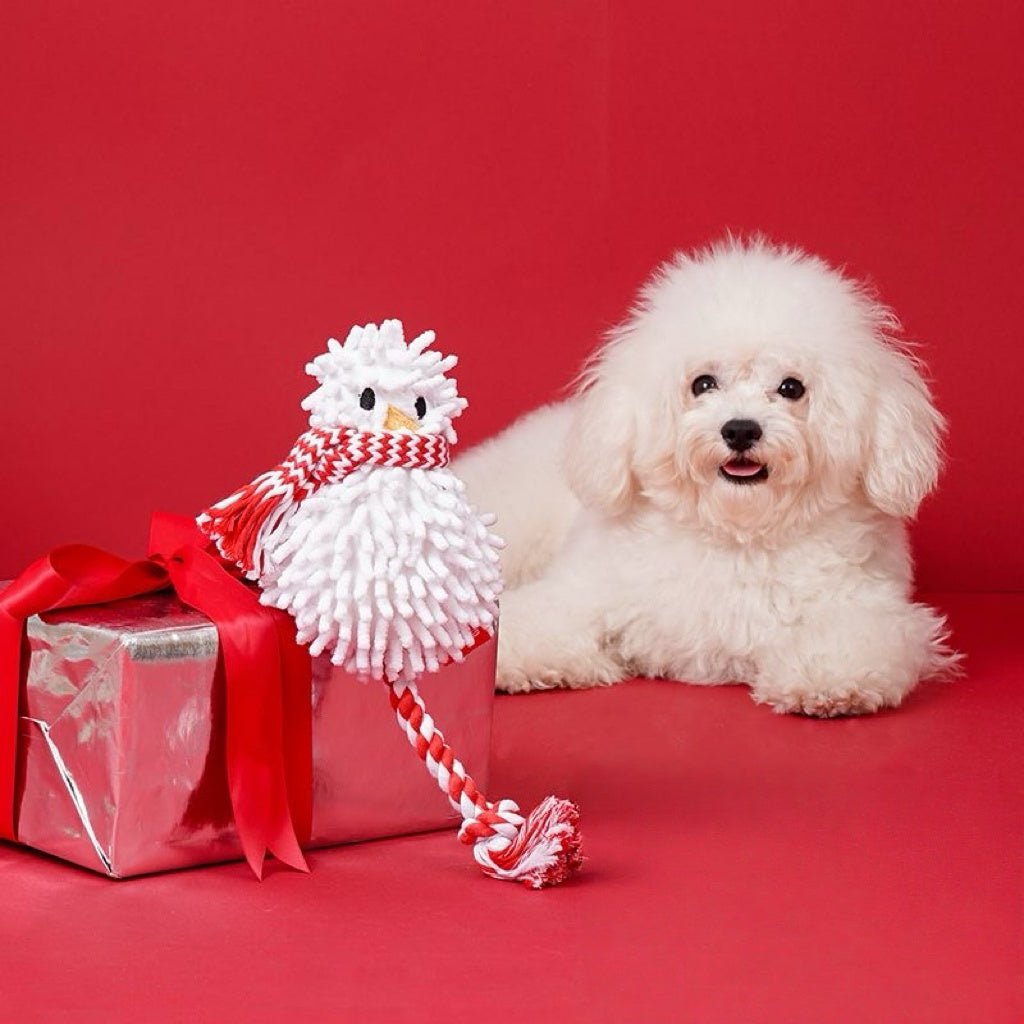 Fluffy Snowman Rope Pet Toy ⛄️ — For Cats & Puppies